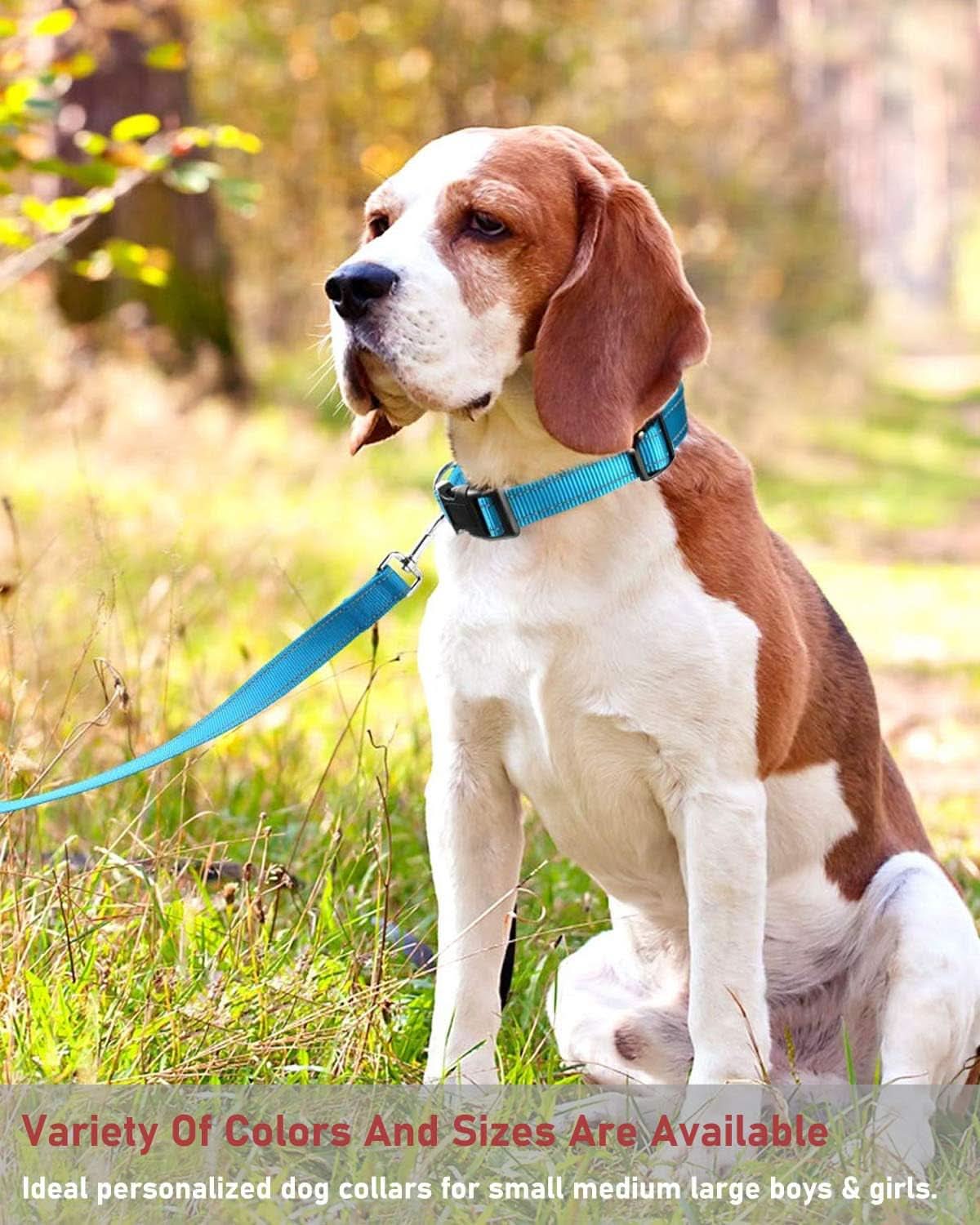 Adjustable Reflective Nylon Dog Collar with Buckle for Small, Medium, and Large Dogs - Blue, XL Size