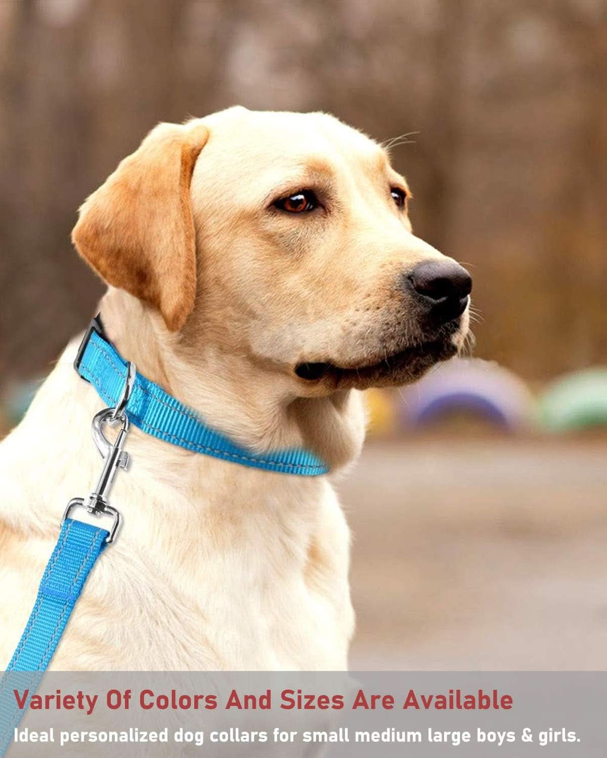 Adjustable Reflective Nylon Dog Collar with Buckle for Small, Medium, and Large Dogs - Blue, XL Size