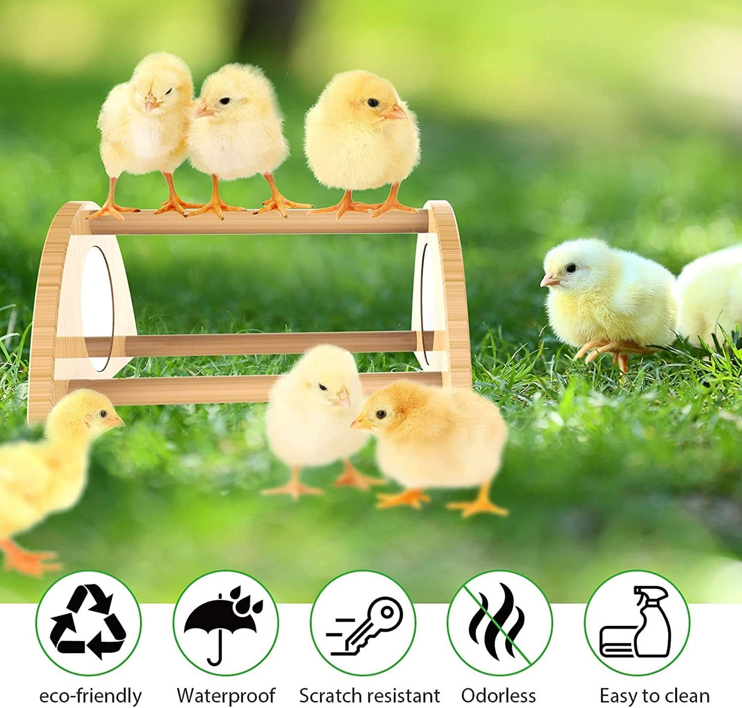 Mini Chick Perch with Mirror - Durable Bamboo Roosting Bar for Coop and Brooder, Ideal Training Perch for Young Chicks, Easy Assembly and Cleaning, Engaging Toy for Poultry