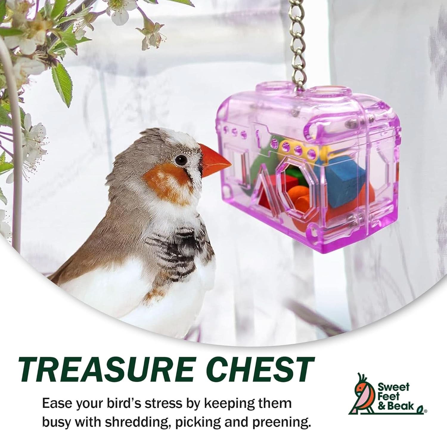 Premium Foraging Treasure Chest for Birds - Colorful, Safe, and Easy-to-Install Cage Accessory - Washable, Refillable, Non-Toxic Design