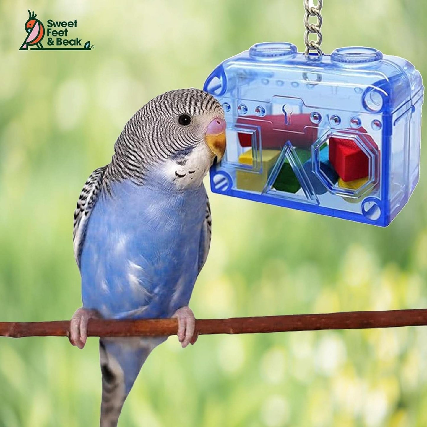 Premium Foraging Treasure Chest for Birds - Colorful, Safe, and Easy-to-Install Cage Accessory - Washable, Refillable, Non-Toxic Design