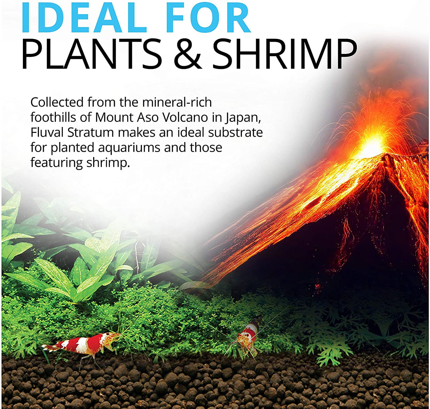 12694 Plant and Shrimp Stratum for Freshwater Aquariums, 8.8 lbs - Premium Substrate for Enhanced Plant Growth, Ideal for Neutral to Slightly Acidic pH Levels