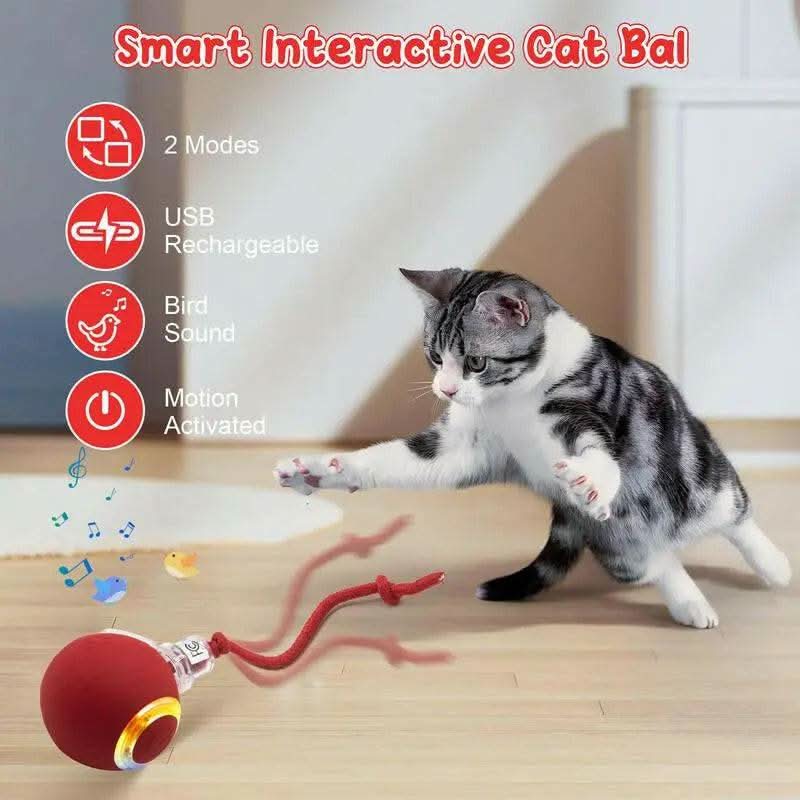 Cat&Dog Toy - Interactive USB Rechargeable Ball Toy on Rug with Bird Chirping, Anti-Depression Fun Gift for Cats & Dogs