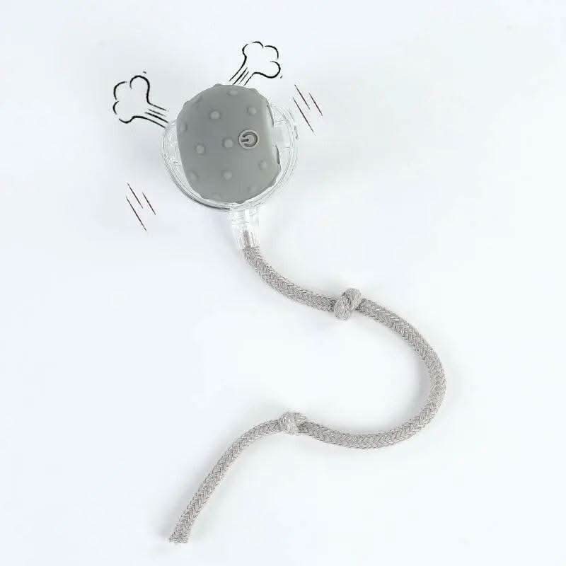 Cat&Dog Toy - Interactive USB Rechargeable Ball Toy on Rug with Bird Chirping, Anti-Depression Fun Gift for Cats & Dogs