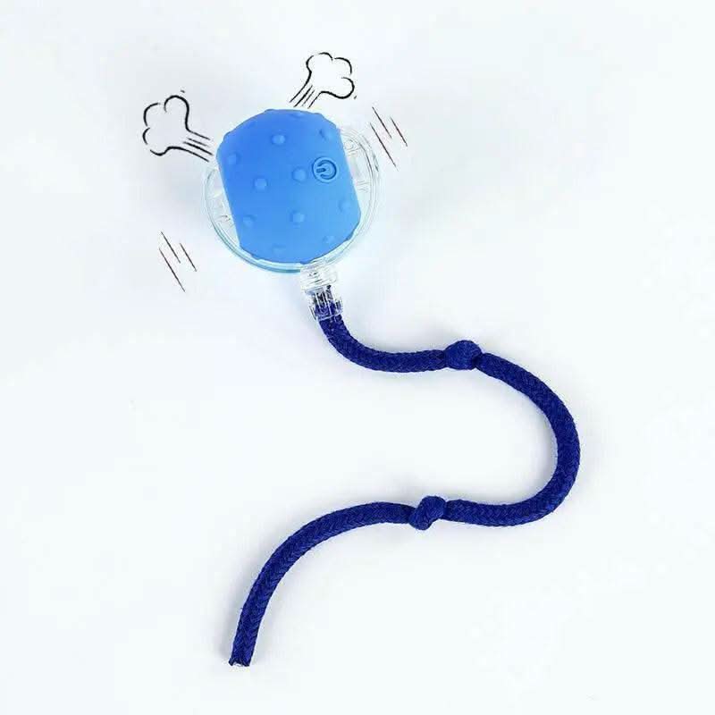 Cat&Dog Toy - Interactive USB Rechargeable Ball Toy on Rug with Bird Chirping, Anti-Depression Fun Gift for Cats & Dogs