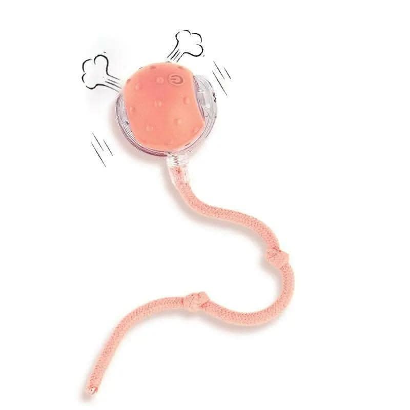 Cat&Dog Toy - Interactive USB Rechargeable Ball Toy on Rug with Bird Chirping, Anti-Depression Fun Gift for Cats & Dogs