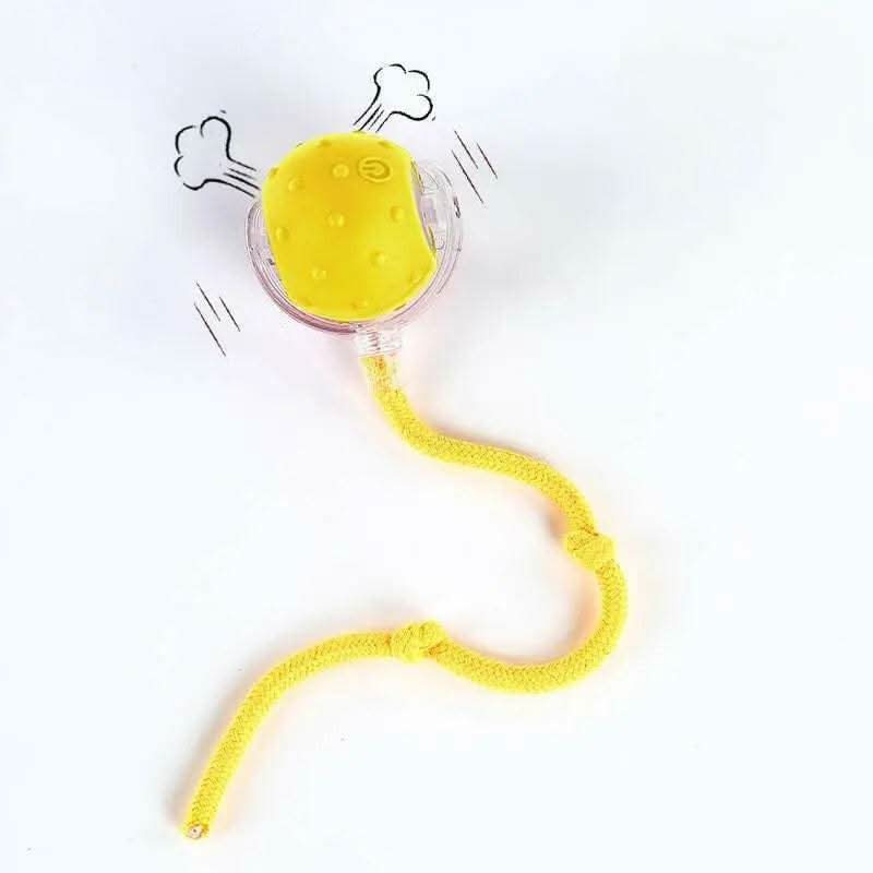 Cat&Dog Toy - Interactive USB Rechargeable Ball Toy on Rug with Bird Chirping, Anti-Depression Fun Gift for Cats & Dogs