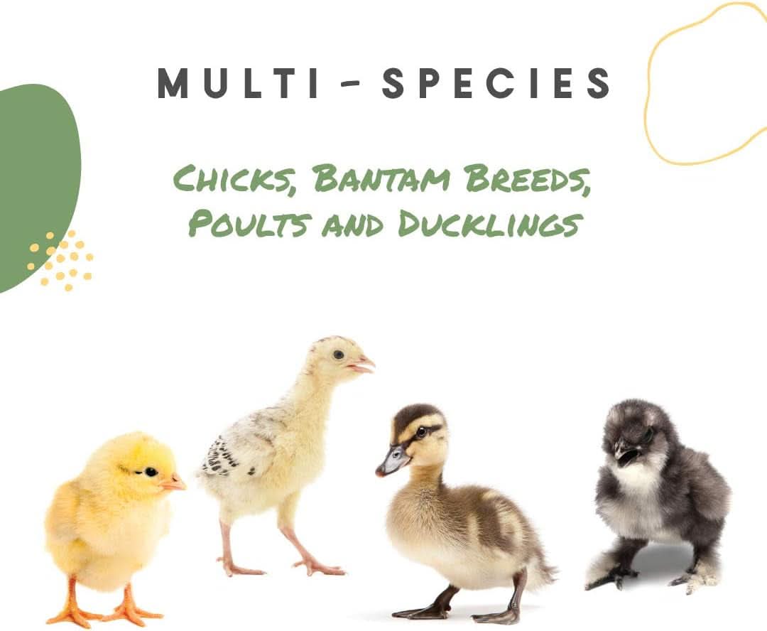 Chick Grit - Digestive Supplement for Young Poultry and Bantam Breeds with Probiotics, 25 lbs of Natural Insoluble Crushed Granite, Free from Artificial Ingredients and Preservatives