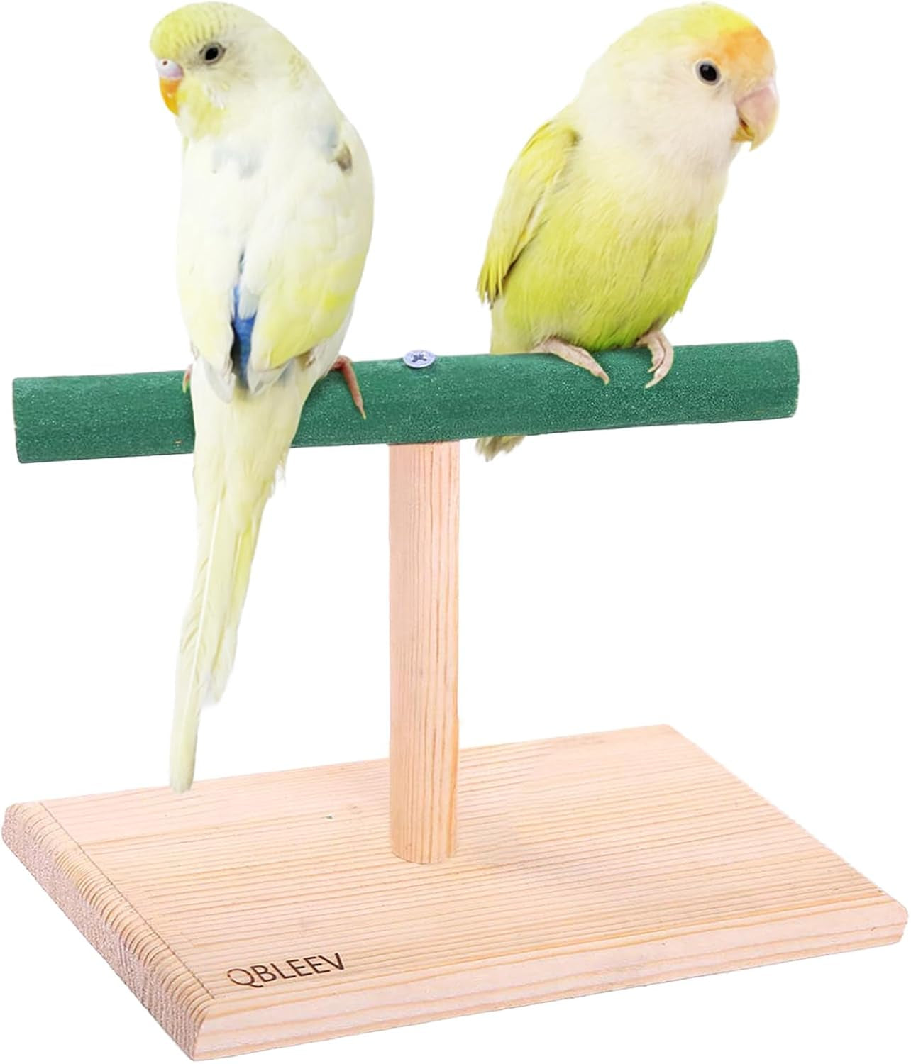 Portable Bird Play Stand and Training Perch for Cockatiels, Conures, Parakeets, Finches, and Lovebirds