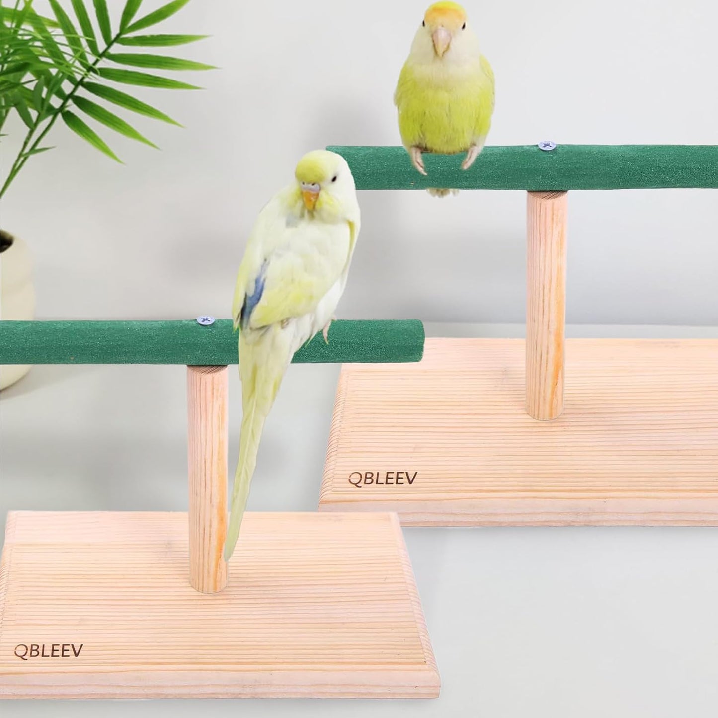 Portable Bird Play Stand and Training Perch for Cockatiels, Conures, Parakeets, Finches, and Lovebirds
