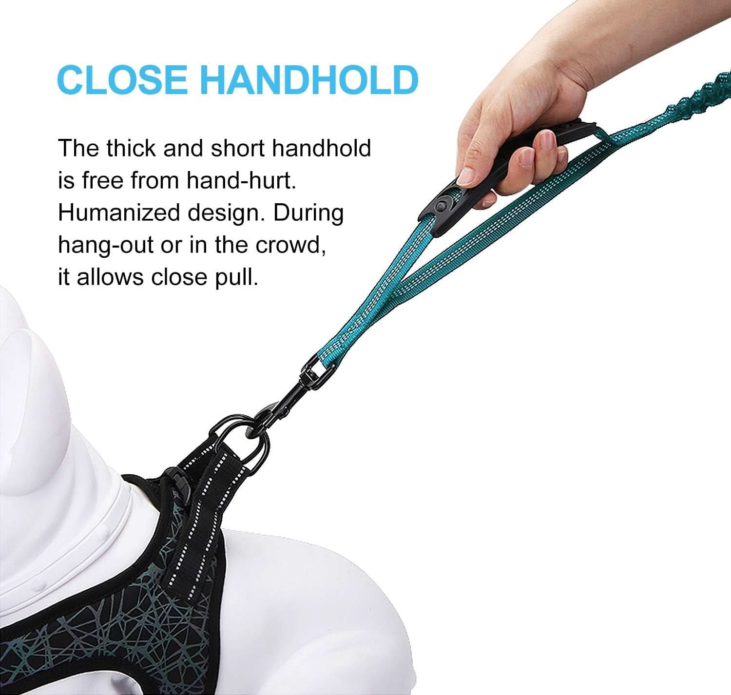 6FT Heavy-Duty Elastic Bungee Dog Leash with Shock Absorption, Padded Comfort Handle, and Traffic Handle for Medium and Large Dogs - Ideal for Training