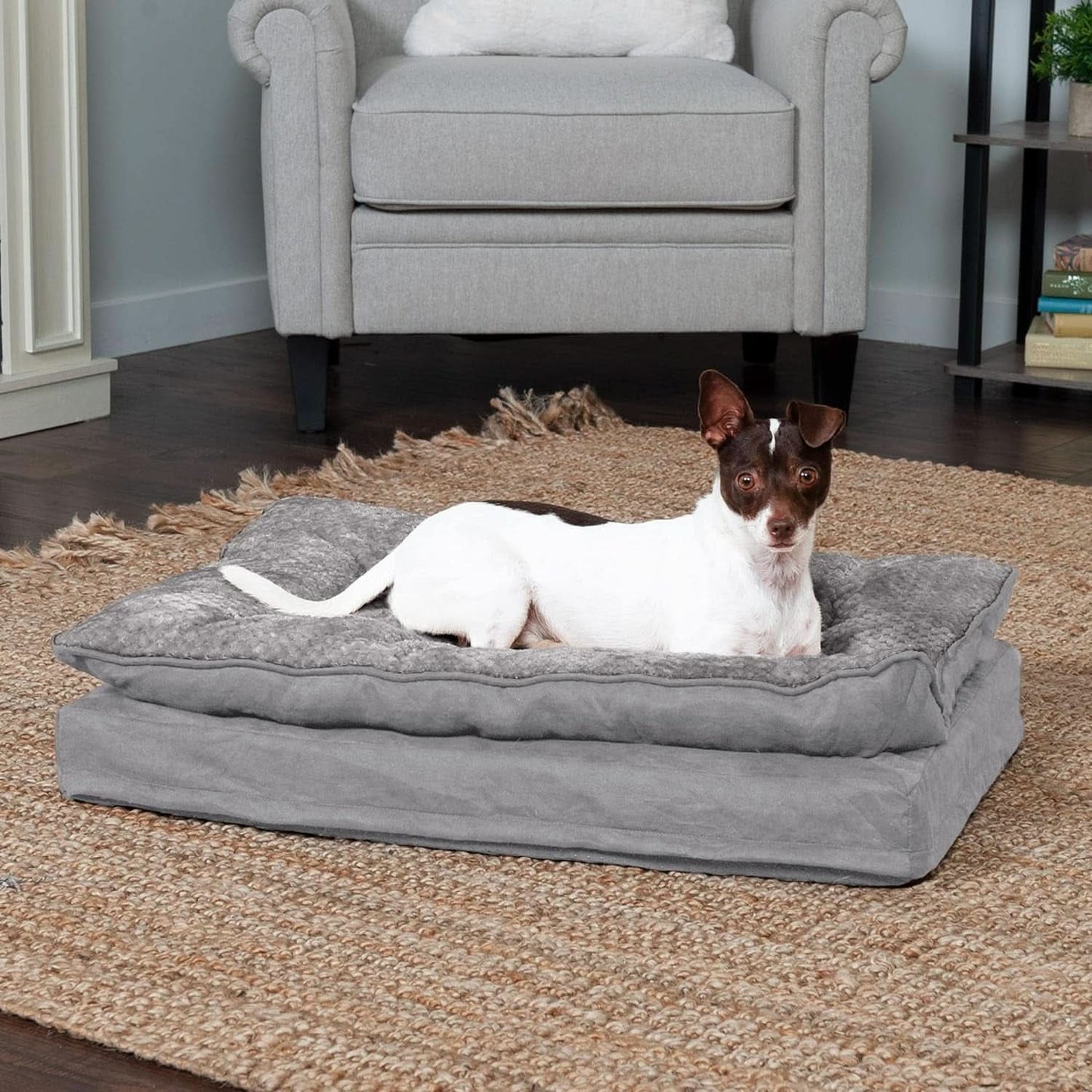 Orthopedic Dog Bed for Medium and Small Dogs with Removable Washable Cover and Pillow Cushion Top, Suitable for Dogs up to 35 lbs - Minky Plush and Suede Mattress in Titanium Gray, Medium Size