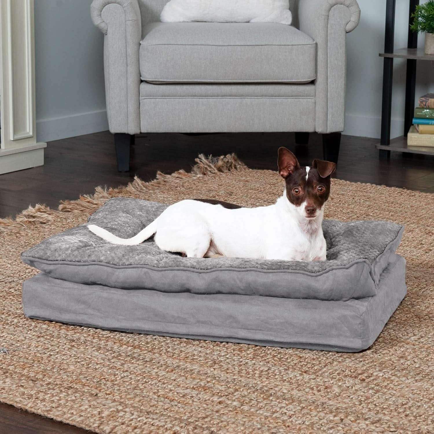 Orthopedic Dog Bed for Medium and Small Dogs with Removable Washable Cover and Pillow Cushion Top, Suitable for Dogs up to 35 lbs - Minky Plush and Suede Mattress in Titanium Gray, Medium Size