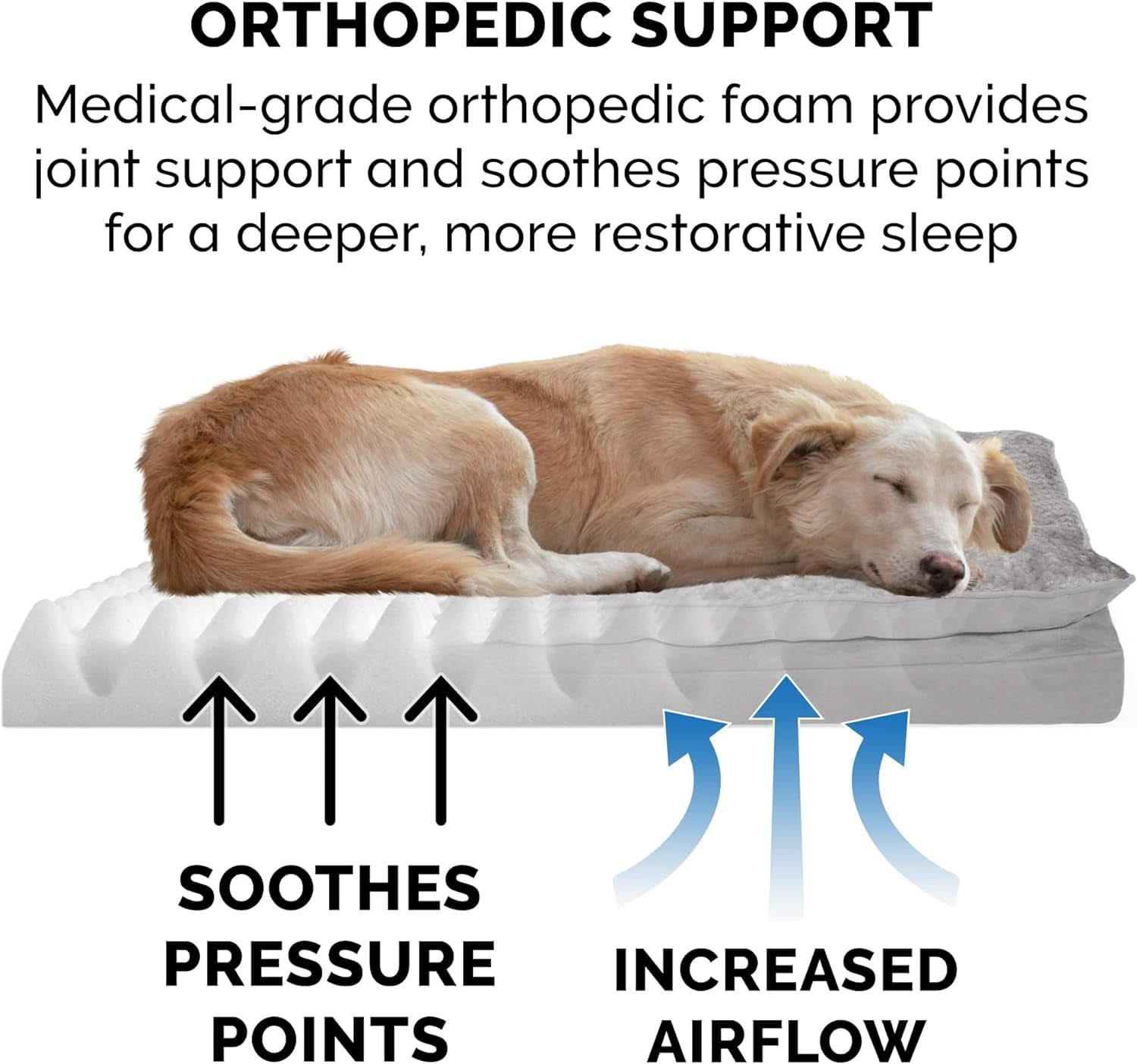 Orthopedic Dog Bed for Medium and Small Dogs with Removable Washable Cover and Pillow Cushion Top, Suitable for Dogs up to 35 lbs - Minky Plush and Suede Mattress in Titanium Gray, Medium Size