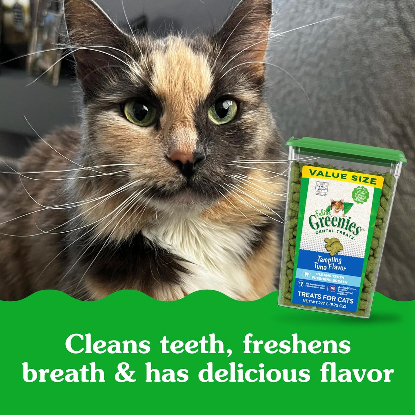 Feline Adult Dental Treats with Tempting Tuna Flavor, 9.75 Oz Tub
