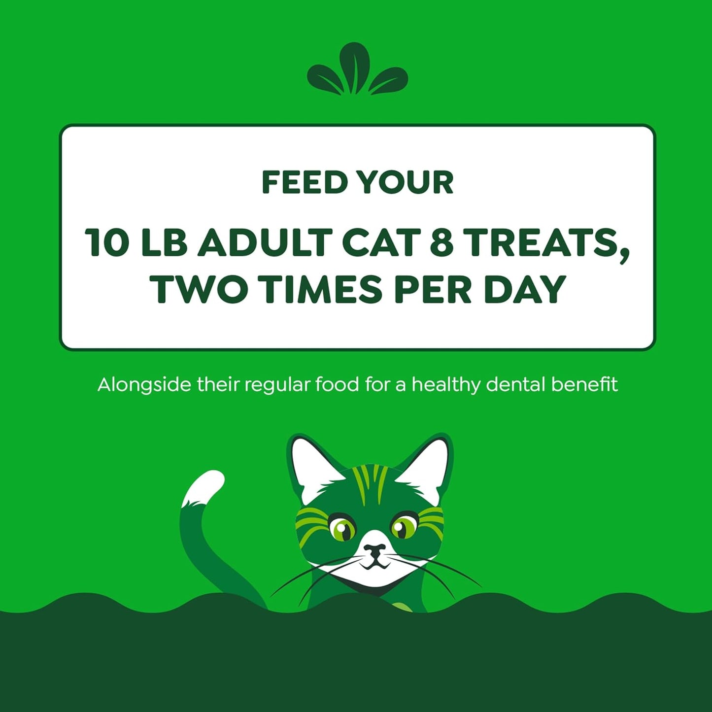 Feline Adult Dental Treats with Tempting Tuna Flavor, 9.75 Oz Tub