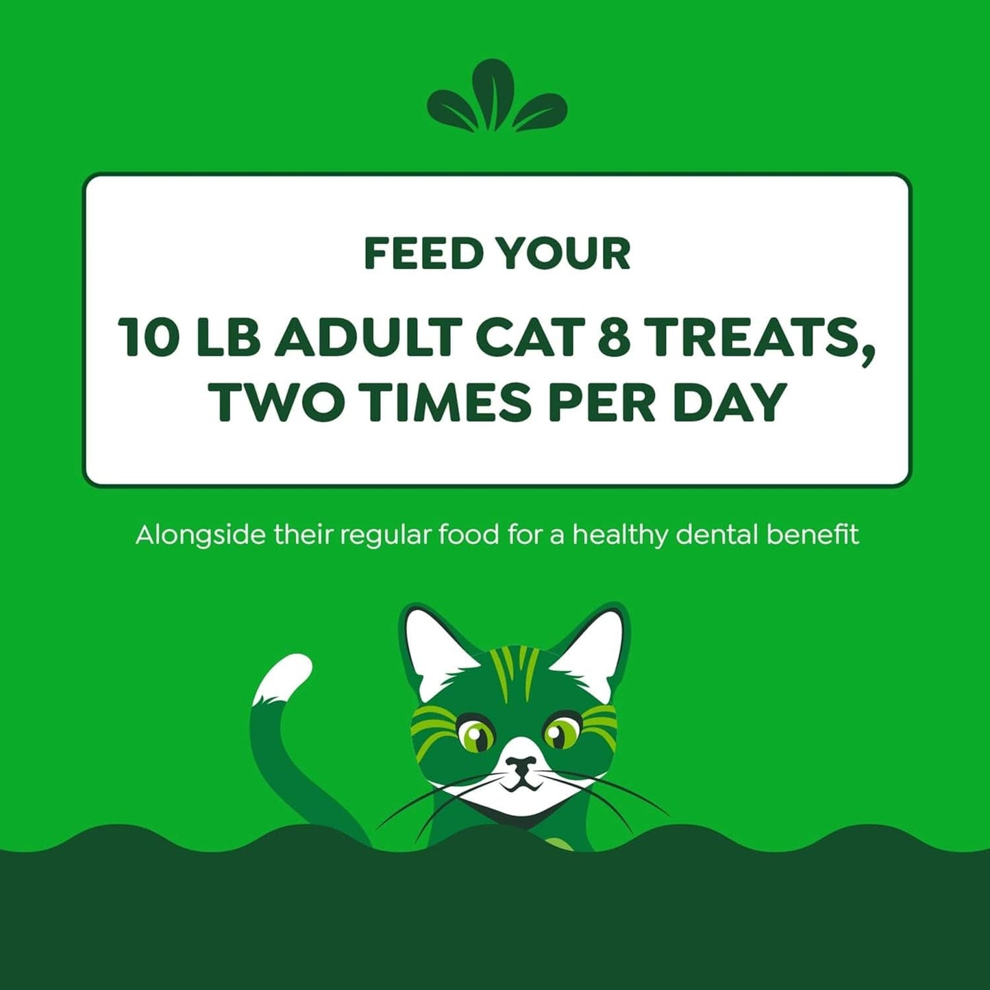 Feline Adult Dental Treats with Tempting Tuna Flavor, 9.75 Oz Tub