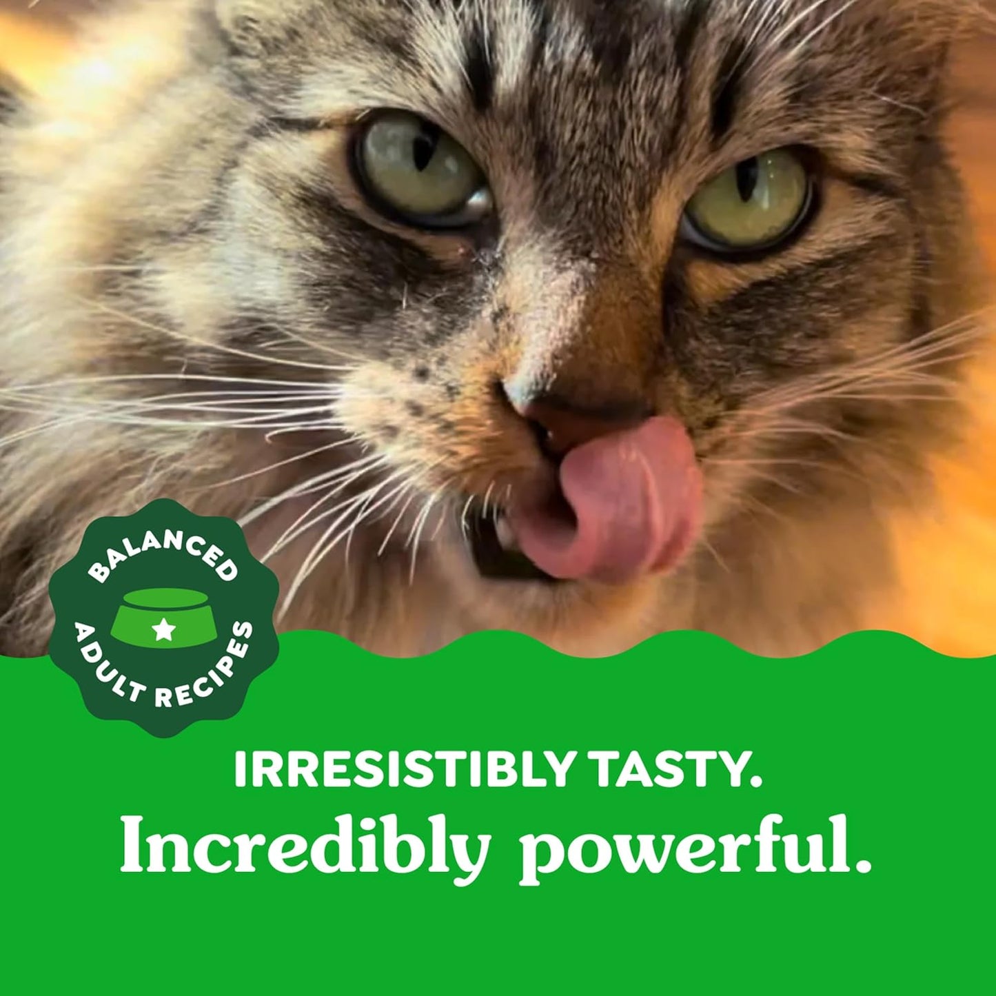 Feline Adult Dental Treats with Tempting Tuna Flavor, 9.75 Oz Tub