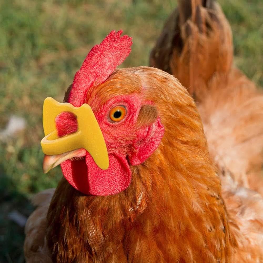 101-Piece Pinless Poultry Blinders Set with Pliers for Chickens and Pheasants