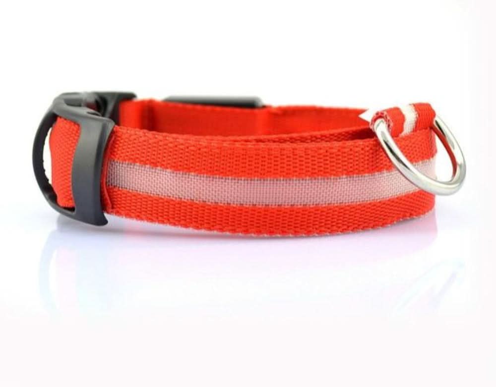 2 PCS Set Nylon LED Dog Collar - Pets Best shop