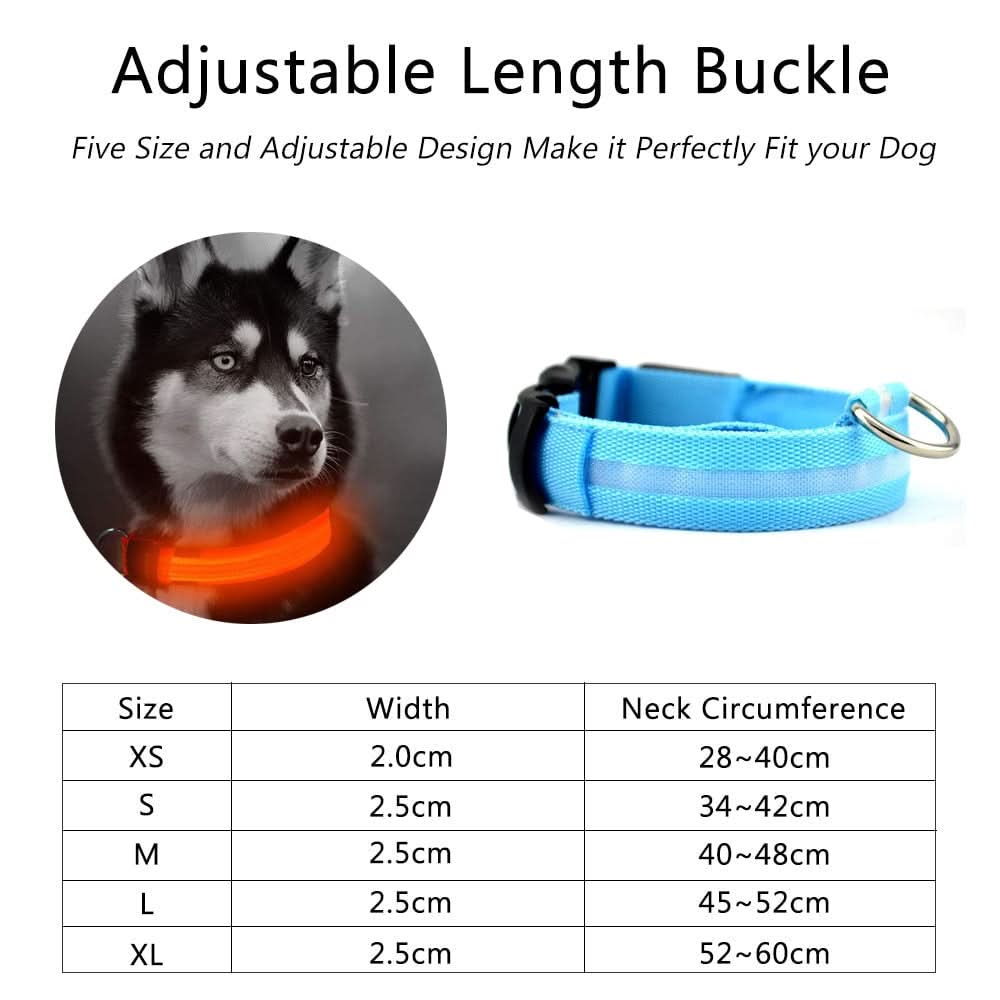 2 PCS Set Nylon LED Dog Collar - Pets Best shop
