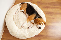 Dog Beds