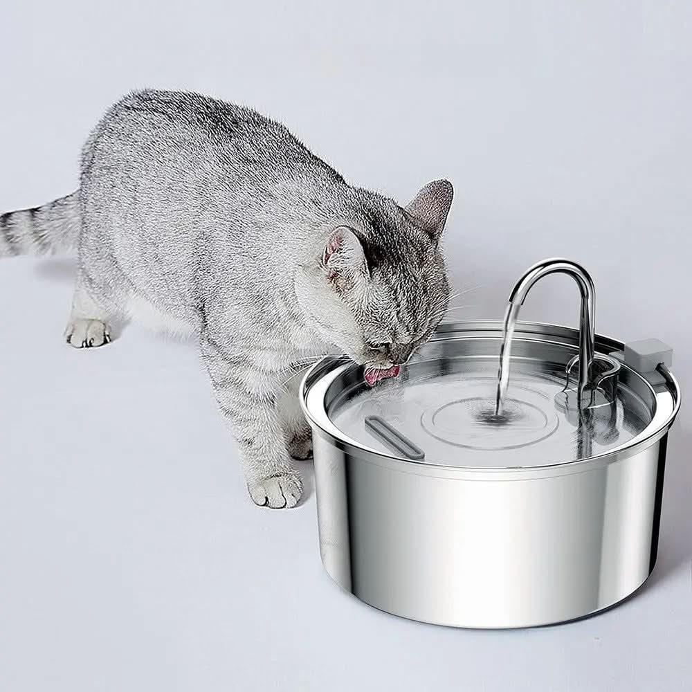 Stainless Steel Pet Water Feeder Cat Dog Automatic Filter Fountain Stone's Store