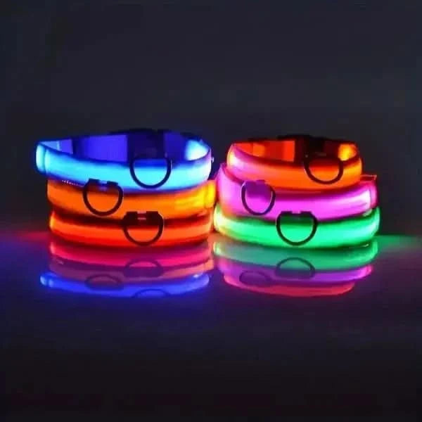 LED Nylon Dog Leash & Collar Set – Glow-in-the-Dark Flashing Pet Gear for Night Safety Stone's Store