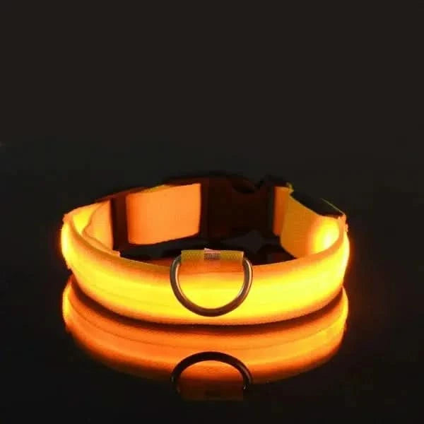 LED Nylon Dog Leash & Collar Set – Glow-in-the-Dark Flashing Pet Gear for Night Safety Stone's Store
