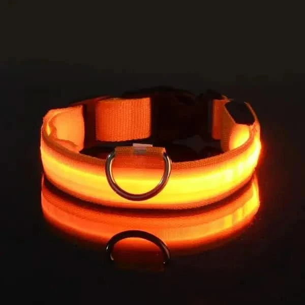 LED Nylon Dog Leash & Collar Set – Glow-in-the-Dark Flashing Pet Gear for Night Safety Stone's Store