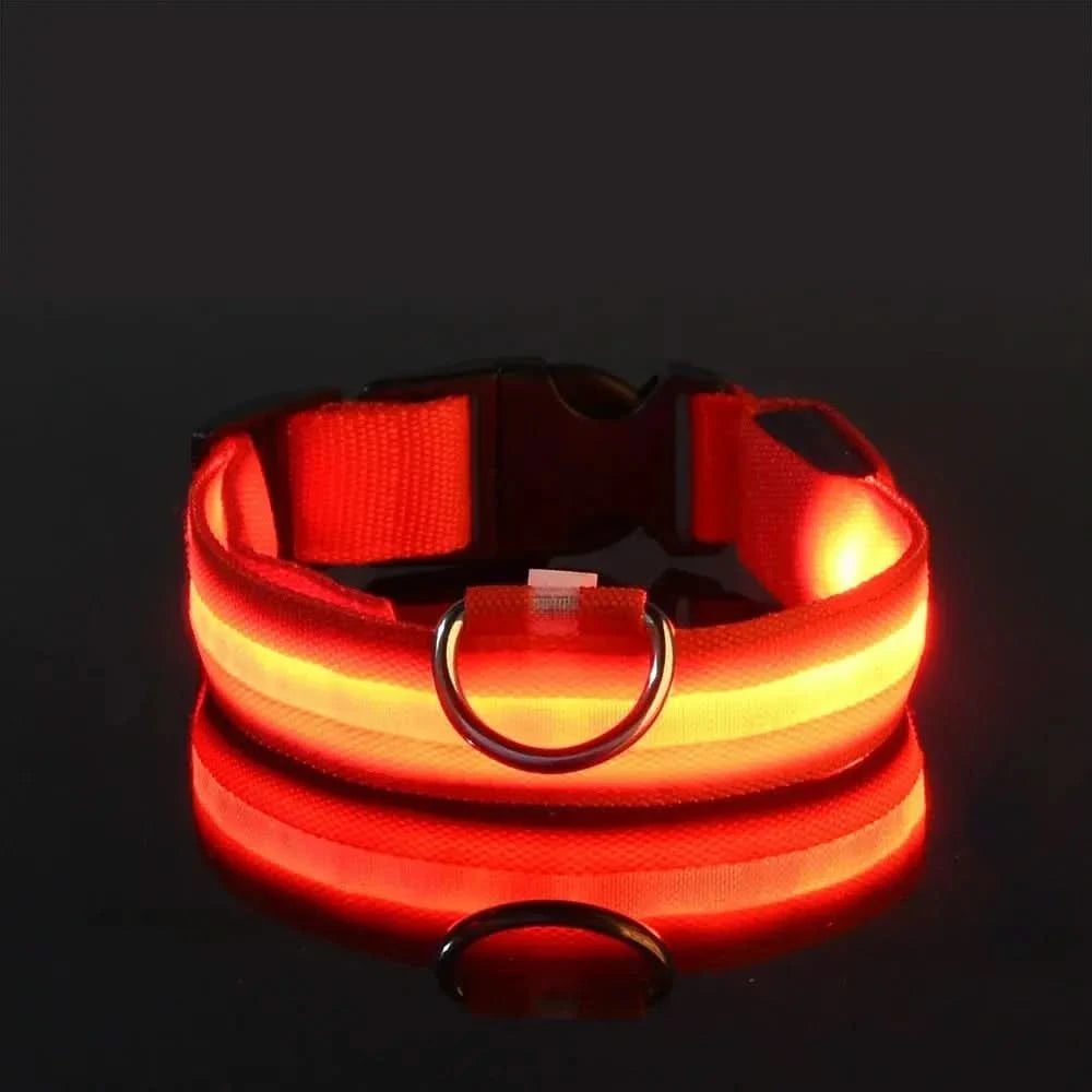 LED Nylon Dog Leash & Collar Set – Glow-in-the-Dark Flashing Pet Gear for Night Safety Stone's Store