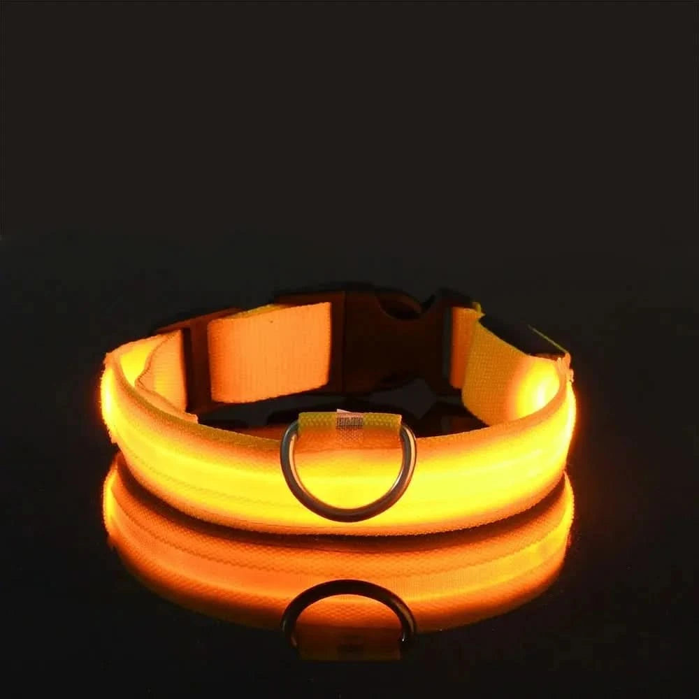 LED Nylon Dog Leash & Collar Set – Glow-in-the-Dark Flashing Pet Gear for Night Safety Stone's Store