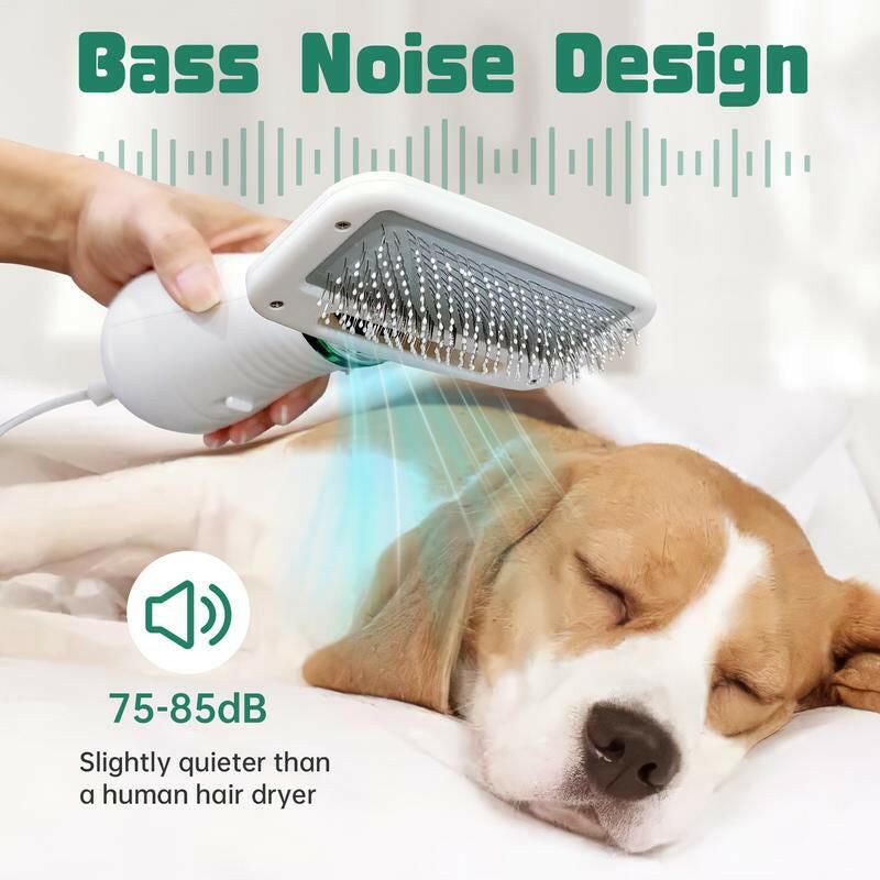 LIVEKEY 2 in 1 Pet Brush Hair Dryer with Bristle Brush, 300W for Small and Medium Dogs, Portable USB Rechargeable Pet Hair Remover