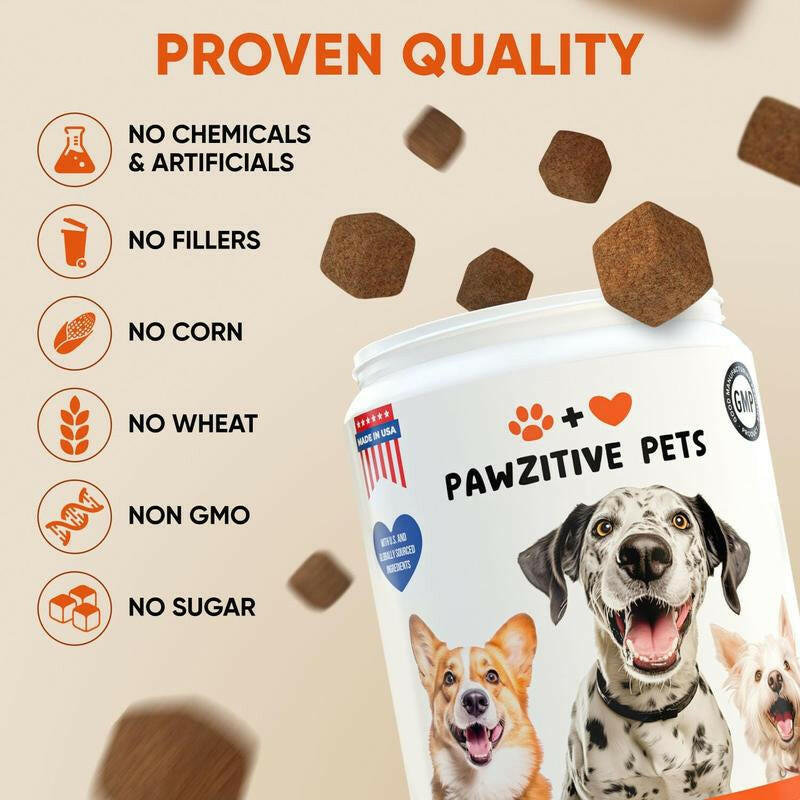 Pawzitive Pets Multivitamin Chews for Dogs – Daily Health Support with Probiotics, Omega 3, Minerals & Vitamins – All-Breed – Made in USA