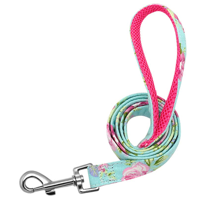 Personalized Engraved Dog Collar