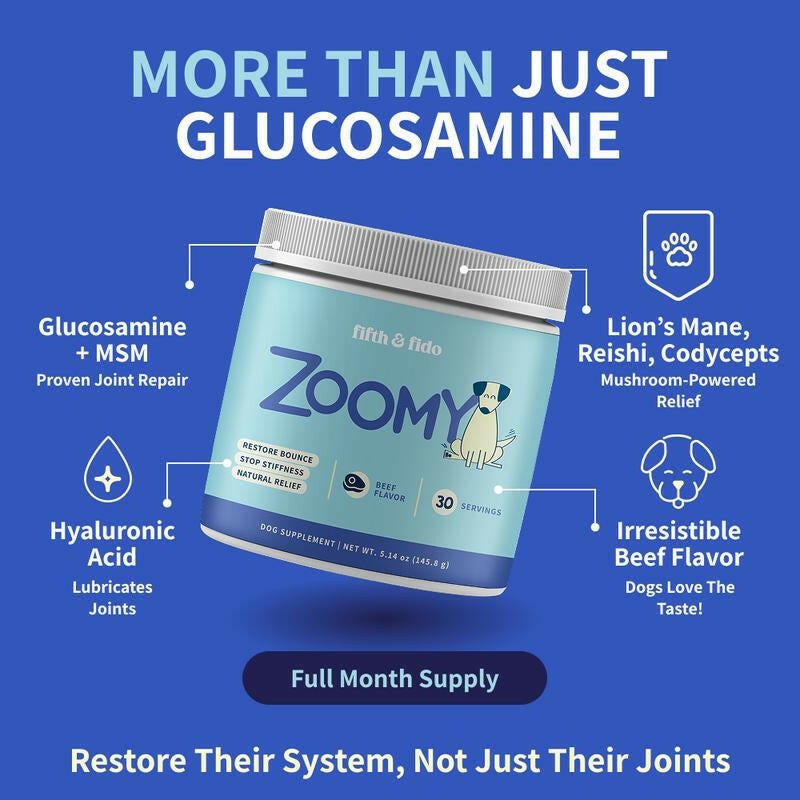 Fifth & Fido Zoomy Dog Joint Supplement for Senior Dogs - Mushroom Powered Hip Joint Support - Natural Mobility Powder - 30 Servings - Beef Flavor - 5.14 Oz