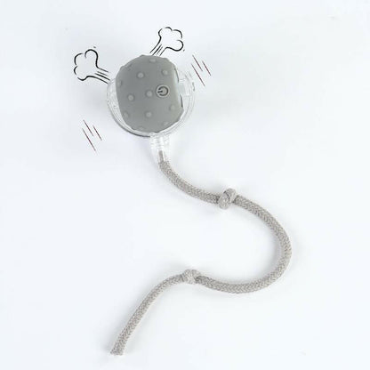 Cat&Dog Toy - Interactive USB Rechargeable Ball Toy on Rug with Bird Chirping, Anti-Depression Fun Gift for Cats & Dogs