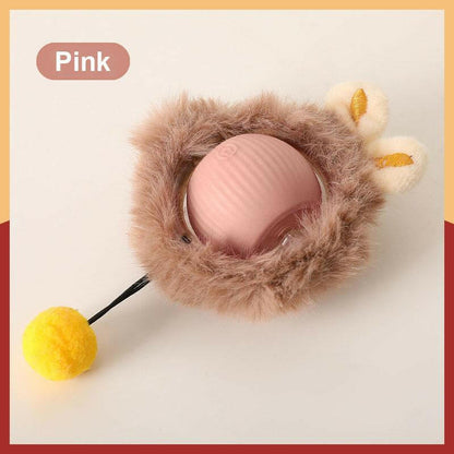 Cat&Dog Toy - Interactive USB Rechargeable Ball Toy on Rug with Bird Chirping, Anti-Depression Fun Gift for Cats & Dogs