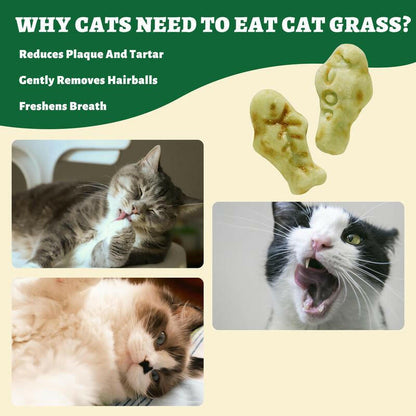 450G/16Oz Cat Grass Treats,Crunchy Cat Treats 9 Packs (50G Each),Natural Cat Grass Sticks &Cat Grass Teeth Cleaning Treats for Cat Training Rewards Box Pet Products