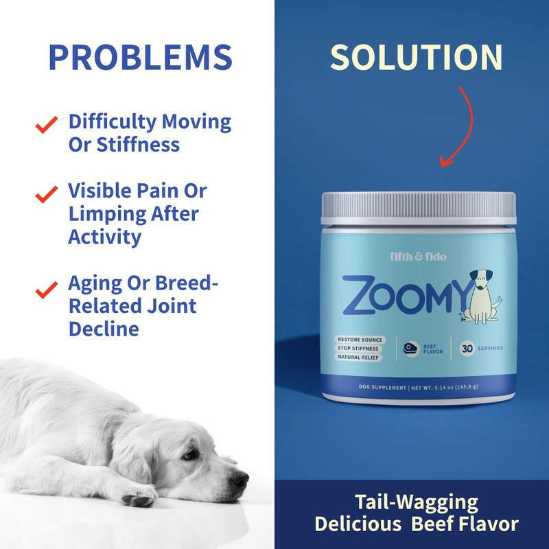 Fifth & Fido Zoomy Dog Joint Supplement for Senior Dogs - Mushroom Powered Hip Joint Support - Natural Mobility Powder - 30 Servings - Beef Flavor - 5.14 Oz