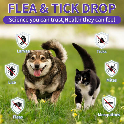 WEALLIN Flea & Tick Support Drops for Cats and Dogs – Natural Flea & Tick Support Drops with Multivitamins – Oral Supplement for Pets – Suitable for All Breeds and Ages-Bacon Flavor