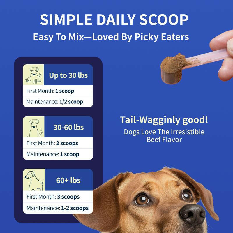 Fifth & Fido Zoomy Dog Joint Supplement for Senior Dogs - Mushroom Powered Hip Joint Support - Natural Mobility Powder - 30 Servings - Beef Flavor - 5.14 Oz