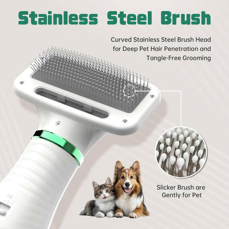 LIVEKEY 2 in 1 Pet Brush Hair Dryer with Bristle Brush, 300W for Small and Medium Dogs, Portable USB Rechargeable Pet Hair Remover