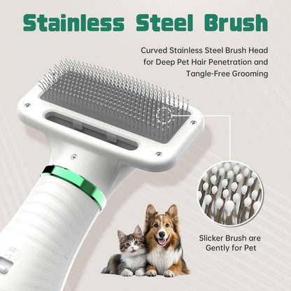 LIVEKEY 2 in 1 Pet Brush Hair Dryer with Bristle Brush, 300W for Small and Medium Dogs, Portable USB Rechargeable Pet Hair Remover
