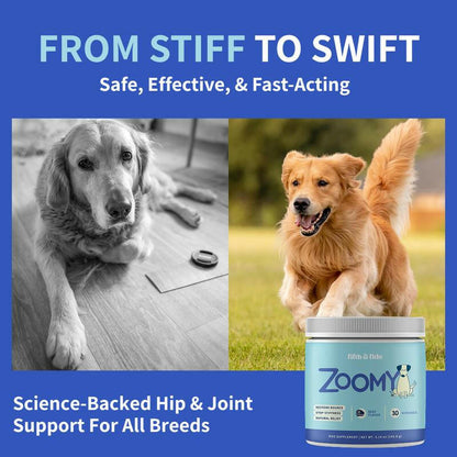 Fifth & Fido Zoomy Dog Joint Supplement for Senior Dogs - Mushroom Powered Hip Joint Support - Natural Mobility Powder - 30 Servings - Beef Flavor - 5.14 Oz