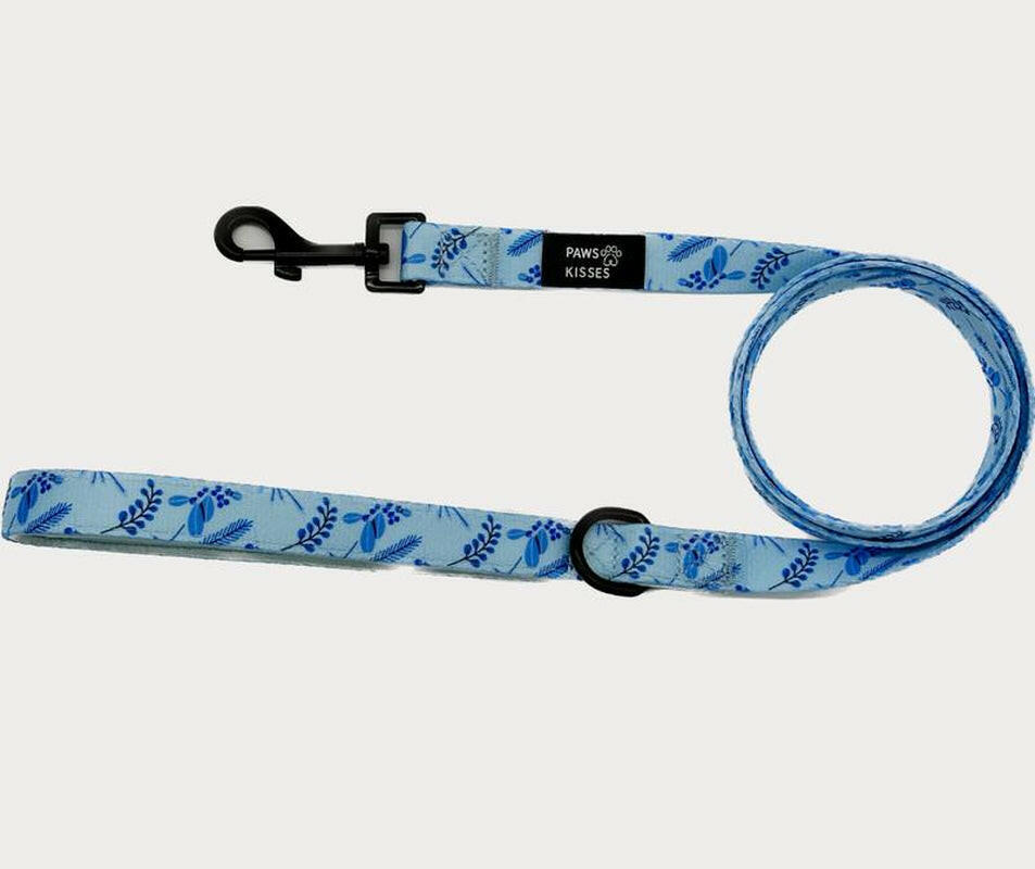 Furost Leash