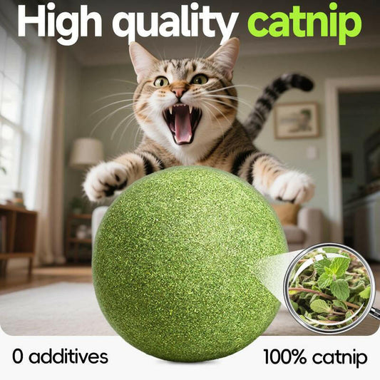 Extra-Large Size Natural Cat Mint Ball, 10 Cm in Diameter, Solid, Edible, Natural Cat Mint Toy, a Fun Toy for Cats