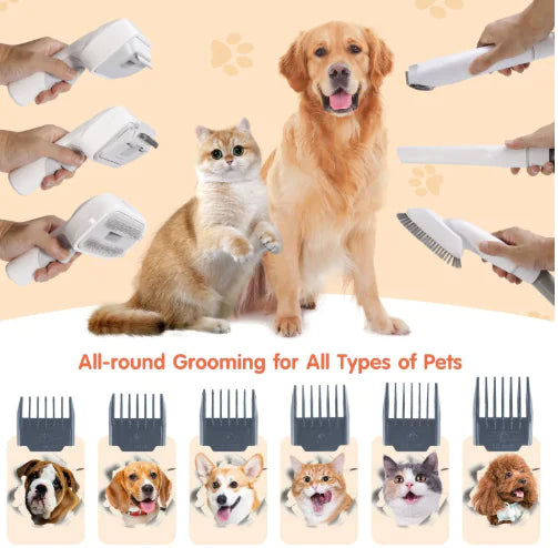Pet Hair