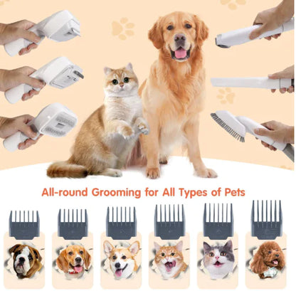 Pet Hair