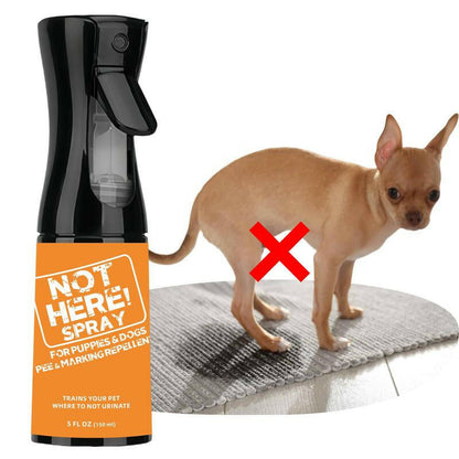 Stop the Chew Spray 5X Strength anti Chew Sprayfor Dogs - No Chew Spray for Puppies - Alcoholfree Dog Deterrent Spray - Bitter Spray for Dogs Tostop Chewing - Powerful No Chew Spray for Dogs